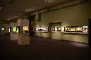 Wasp_exhibition__DSC3532